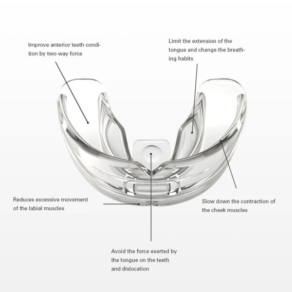 ⁦Gouttière Dentaire Orthodontique TPE – Aligneur avec Étui de Voyage مصحح أسنان من مادة TPE الغذائية مع علبة سفر⁩ - الصورة ⁦7⁩