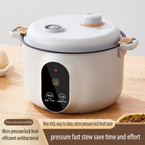 Appareil de cuisson électrique multifonction – Mini cuiseur